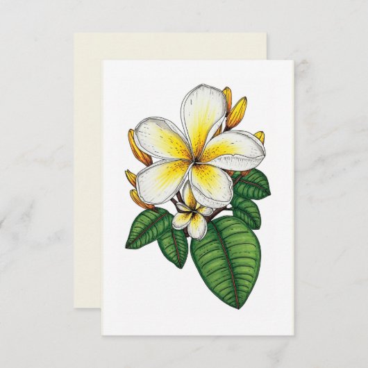 Geel en Witte Plumeria Hawaiian Bedankkaart (Voorkant / Achterkant)