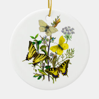 geel en zoutstaartbuikvlies keramisch ornament