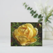 Geel Engels Roos Briefkaart (Staand voorkant)