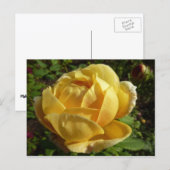 Geel Engels Roos Briefkaart (Voorkant / Achterkant)