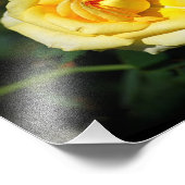 Geel Engels Roos Foto Afdruk (Hoek)