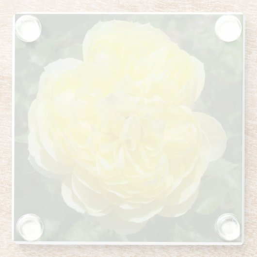 Geel Engels Roos Foto Square Glass Onderzetter Glazen Onderzetter (Achterkant)