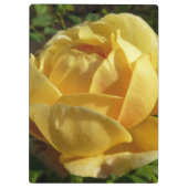 Geel Engels Roos Klembord (Achterkant)