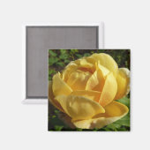 Geel Engels Roos Magneet (Voorkant / Achterkant)