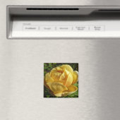 Geel Engels Roos Magneet (Insitu (Vaatwasser))