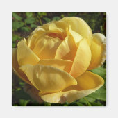 Geel Engels Roos Magneet (Voorkant)