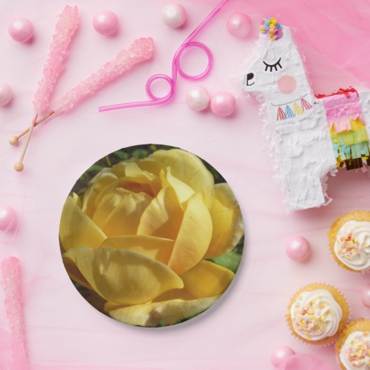 Geel Engels Roos Papieren Bordje (Feest)