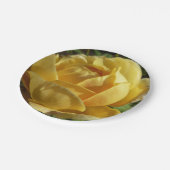 Geel Engels Roos Papieren Bordje (Gekanteld)