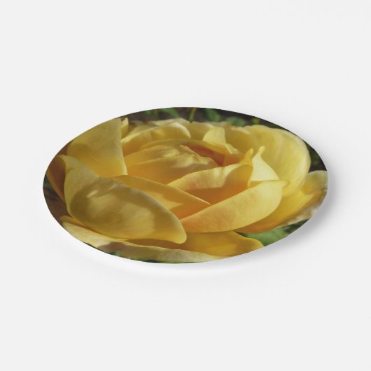 Geel Engels Roos Papieren Bordje (Gekanteld)