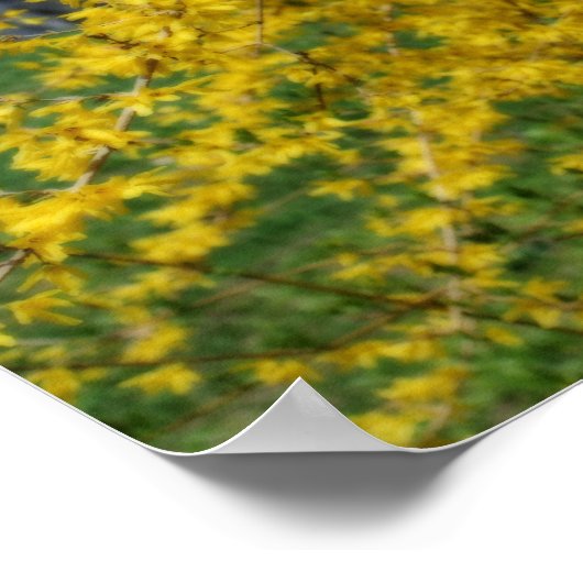 Geel Forsythia Flowers Orton Effect Poster (Hoek)