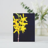 Geel Forsythia Twig bloemen Briefkaart (Staand voorkant)