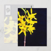 Geel Forsythia Twig bloemen Briefkaart (Voorkant / Achterkant)