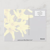 Geel Forsythia Twig bloemen Briefkaart (Achterkant)