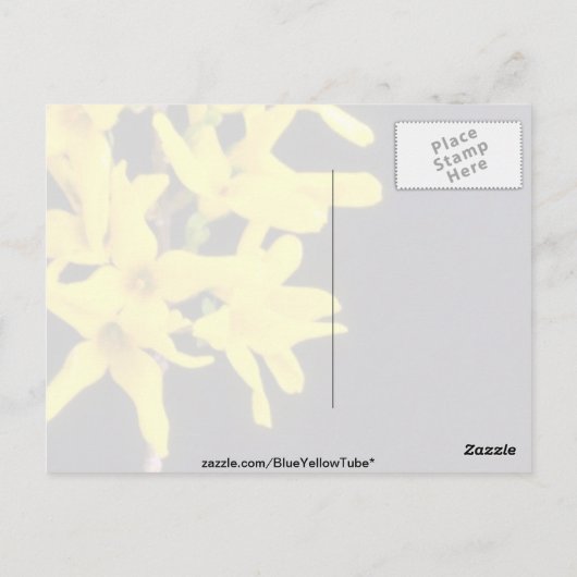 Geel Forsythia Twig bloemen Briefkaart (Achterkant)