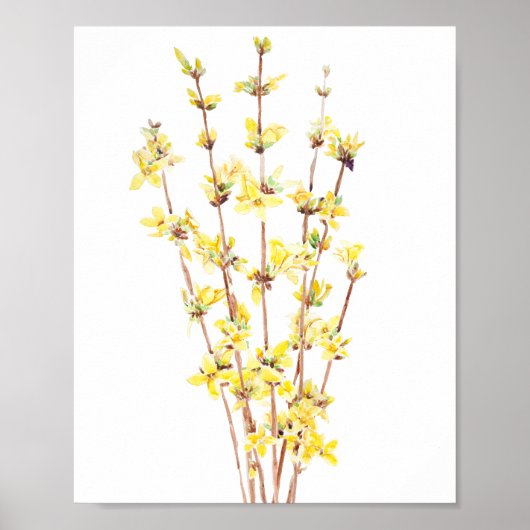 geel forsythia waterverf schilderij poster (Voorkant)