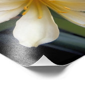 GEEL FOTO AFDRUK (Hoek)