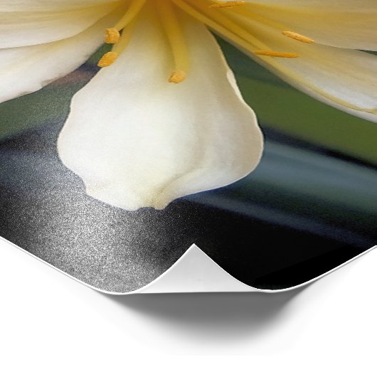 GEEL FOTO AFDRUK (Hoek)