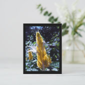 Geel garnaal Plant met mieren briefkaart (Staand voorkant)