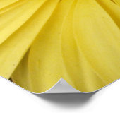 Geel Gebera Daisies Poster (Hoek)