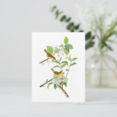 Geel gebrande Warbler John Audubon Birds America Briefkaart (Staand voorkant)
