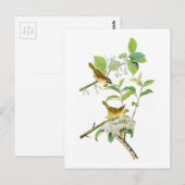 Geel gebrande Warbler John Audubon Birds America Briefkaart (Voorkant / Achterkant)