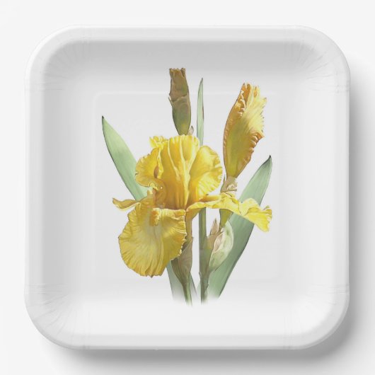 Geel gekaard Iris Bord voor botanisch kunstpapier (Voorkant)