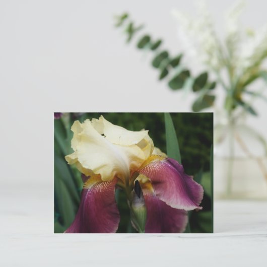 Geel gekaarde irisventilator briefkaart (Staand voorkant)