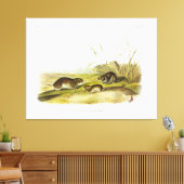 Geel-gekauwde Meadow-Mouse, Taiga Vole van Audubon Canvas Afdruk (Insitu (Woonkamer))