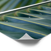 Geel-gekleurd Warbler in een palmboom Poster (Hoek)