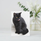 Geel-gekleurde, zwarte kat die zijn lippen likt briefkaart (Staand voorkant)