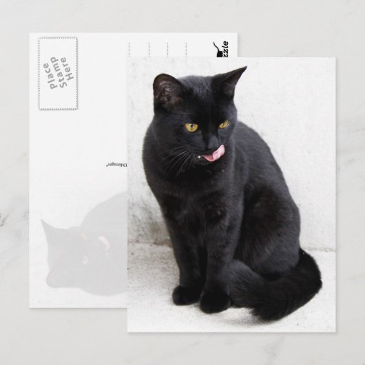 Geel-gekleurde, zwarte kat die zijn lippen likt briefkaart (Voorkant / Achterkant)