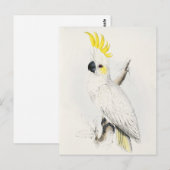 Geel gekookt Briefkaart (Voorkant / Achterkant)