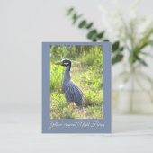 Geel gekroonde Night Heron Briefkaart (Staand voorkant)