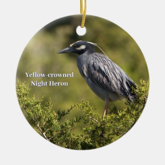 Geel-gekroonde Night Heron Ornament (Voorkant)