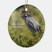 Geel-gekroonde Night Heron Ornament (Links)