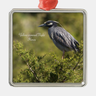 Geel gekroonde Night Heron Ornament