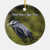 Geel-gekroonde Night Heron Ornament