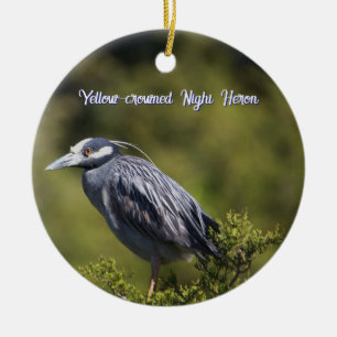 Geel-gekroonde Night Heron Ornament