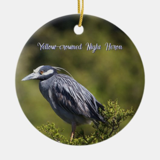 Geel-gekroonde Night Heron Ornament (Voorkant)