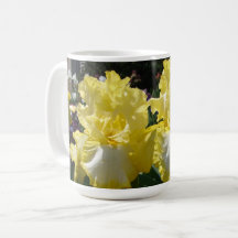 Geel gekruid Iris Irises Flowers floral