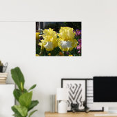 Geel gekruid Iris Irises Flowers floral Poster (Thuiskantoor)