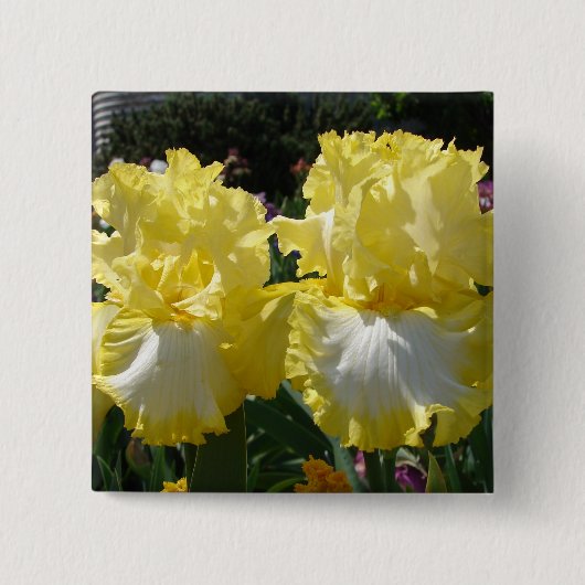 Geel gekruid Iris Irises Flowers floral Vierkante Button 5,1 Cm (Voorkant)