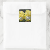 Geel gekruid Iris Irises Flowers floral Vierkante Sticker (Tas)