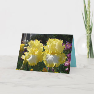 Geel gekruiste Iris bloemen Birthday Kaart
