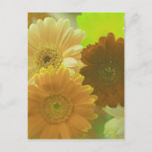 Geel Gerbera Daisy Flower Photo Art Briefkaart (Voorkant)