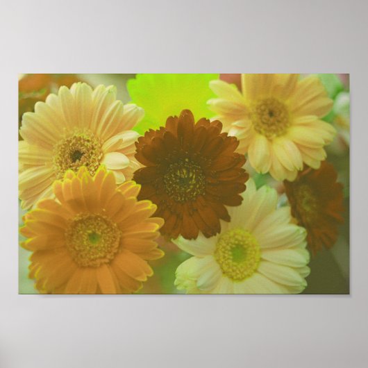 Geel Gerbera Daisy Flowers Wall Art Poster (Voorkant)