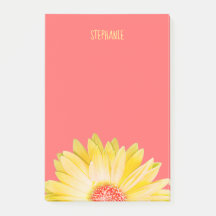 Geel Gerbera Daisy op koraal