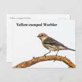 Geel-gerommeerde Warbler Briefkaart (Voorkant / Achterkant)