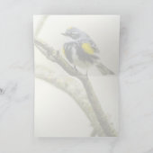 Geel-gerommeerde Warbler Kaart (Binnen)