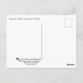 Geel-geroosterde Warbler Perched Briefkaart (Achterkant)